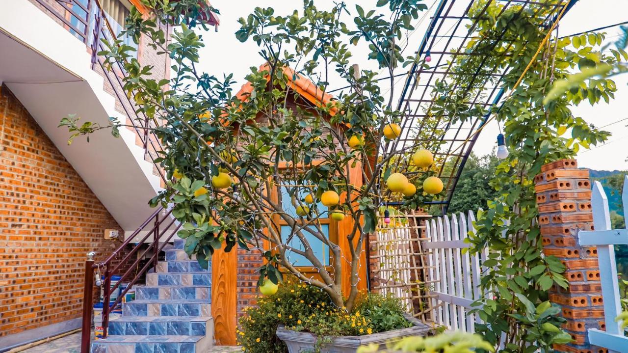 Cosiana Homestay Ninh Binh Luaran gambar