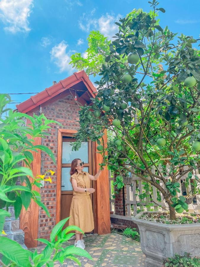 Cosiana Homestay Ninh Binh Luaran gambar