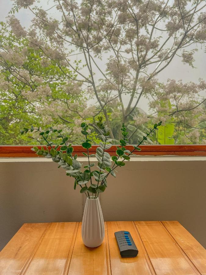 Cosiana Homestay Ninh Binh Luaran gambar